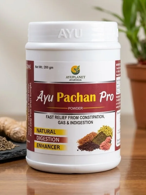 Ayu Pachan Pro Ayurvedic churna 200 g jar for gas, constipation and indigestion – Ayuplanet Ayurveda Noida