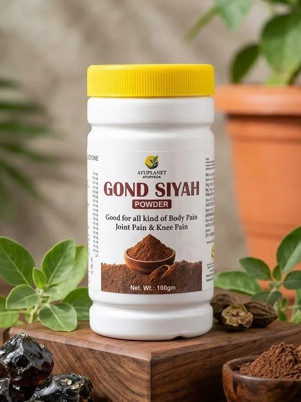 Gond Siyah Ayurvedic powder 100 g for joint pain, knee pain and body pain – Ayuplanet Ayurveda Noida